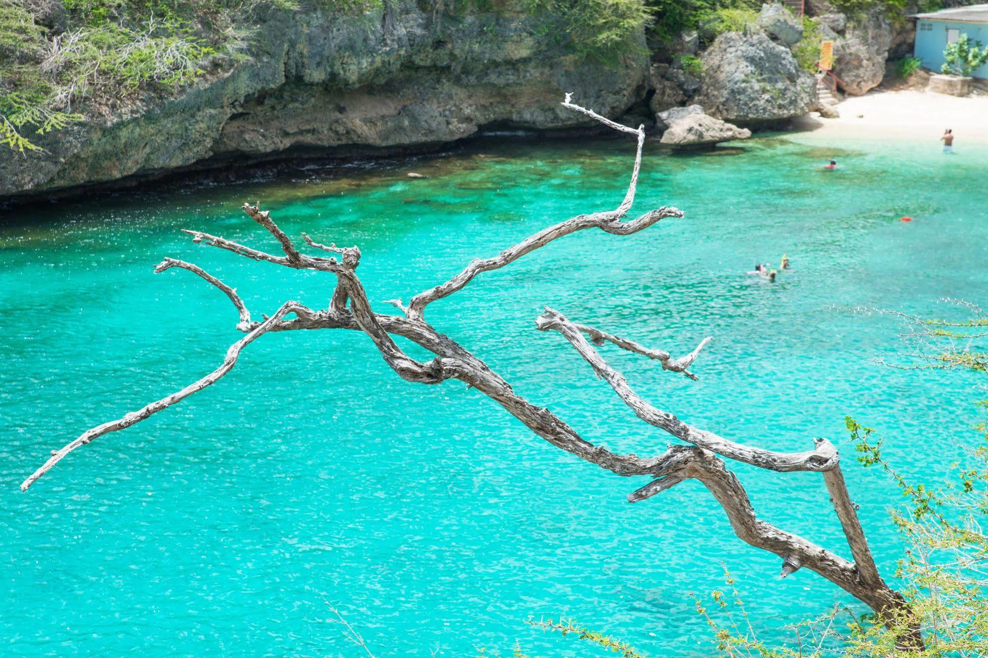 Lagun Blou Dive And Beach Resort Eksteriør bilde